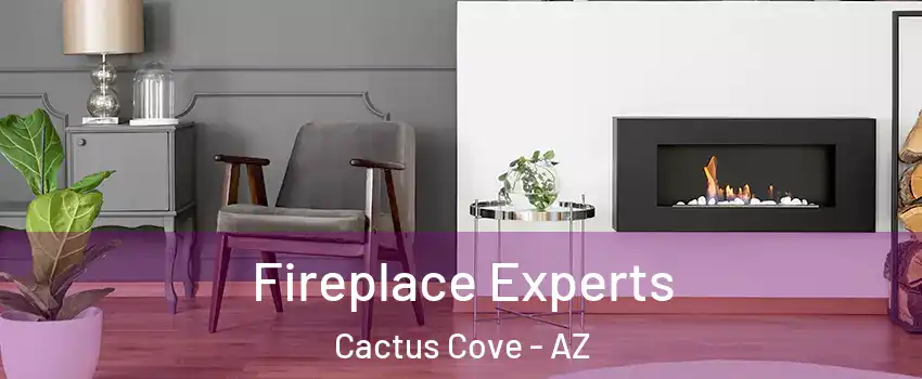 Fireplace Experts Cactus Cove - AZ