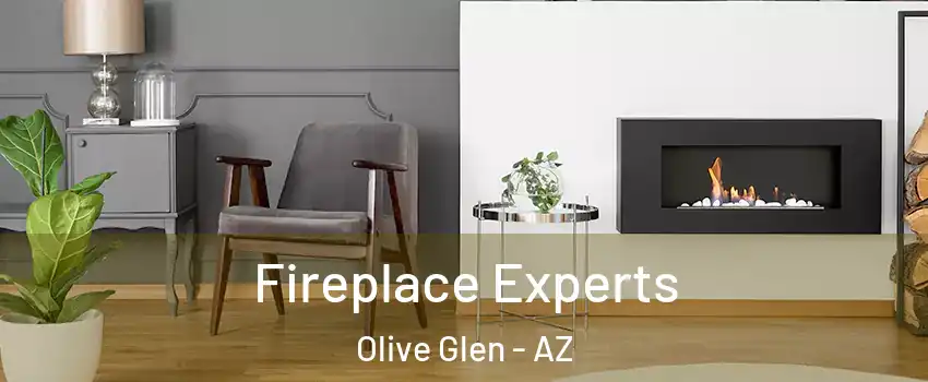 Fireplace Experts Olive Glen - AZ