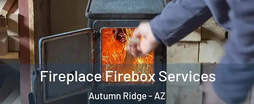 Fireplace Firebox Services Autumn Ridge - AZ