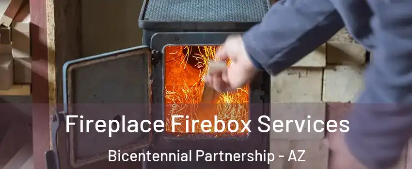 Fireplace Firebox Services Bicentennial Partnership - AZ