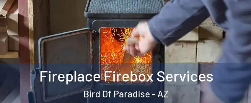 Fireplace Firebox Services Bird Of Paradise - AZ