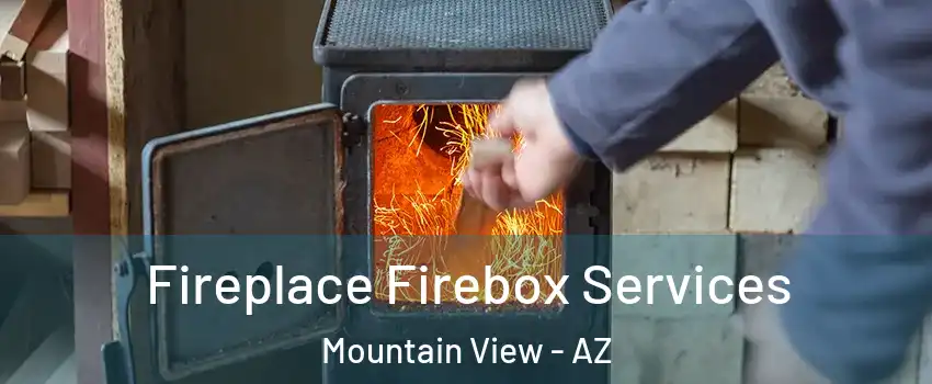 Fireplace Firebox Services Mountain View - AZ
