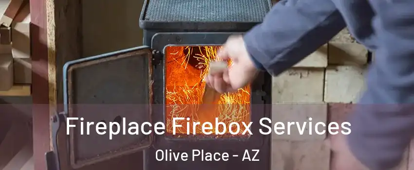 Fireplace Firebox Services Olive Place - AZ