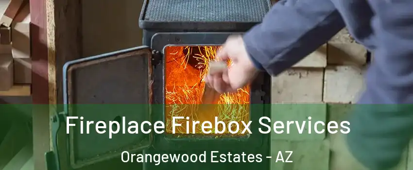 Fireplace Firebox Services Orangewood Estates - AZ