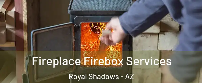 Fireplace Firebox Services Royal Shadows - AZ