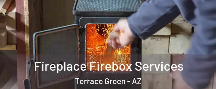 Fireplace Firebox Services Terrace Green - AZ