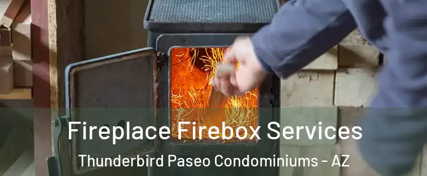 Fireplace Firebox Services Thunderbird Paseo Condominiums - AZ