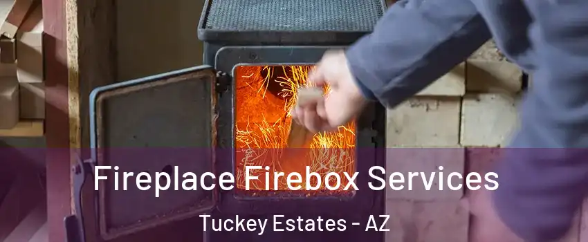 Fireplace Firebox Services Tuckey Estates - AZ