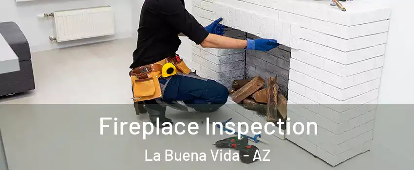 Fireplace Inspection La Buena Vida - AZ