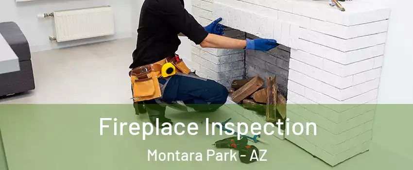 Fireplace Inspection Montara Park - AZ