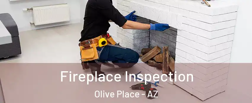Fireplace Inspection Olive Place - AZ