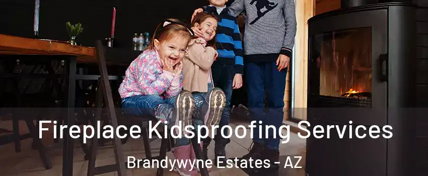 Fireplace Kidsproofing Services Brandywyne Estates - AZ