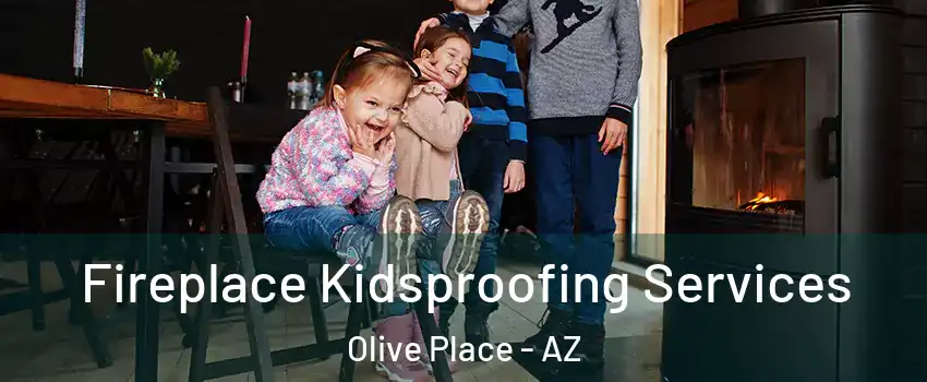 Fireplace Kidsproofing Services Olive Place - AZ