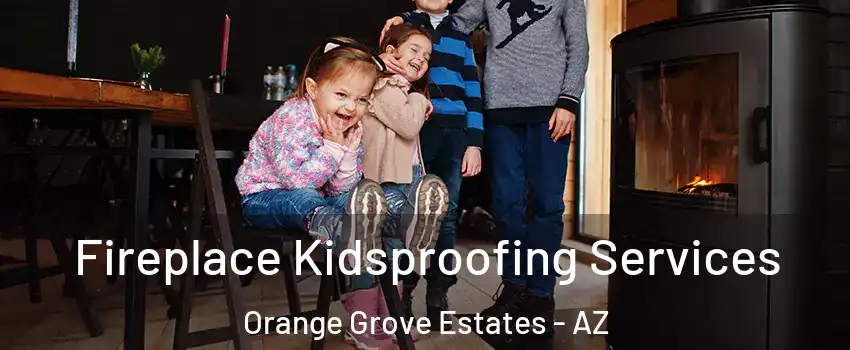 Fireplace Kidsproofing Services Orange Grove Estates - AZ