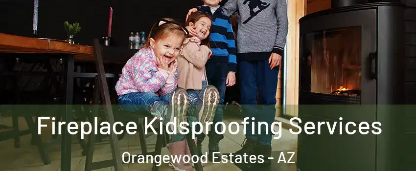 Fireplace Kidsproofing Services Orangewood Estates - AZ