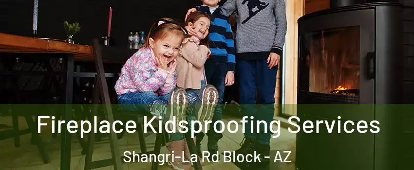 Fireplace Kidsproofing Services Shangri-La Rd Block - AZ