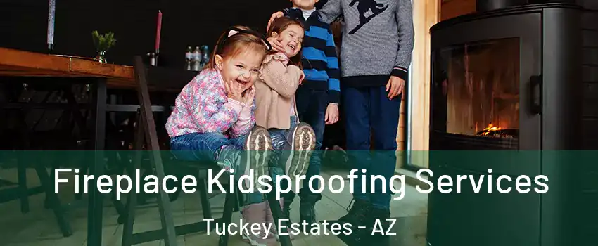 Fireplace Kidsproofing Services Tuckey Estates - AZ