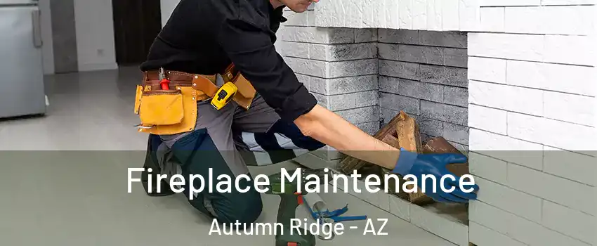 Fireplace Maintenance Autumn Ridge - AZ