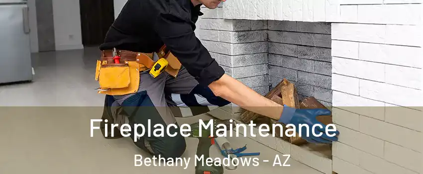 Fireplace Maintenance Bethany Meadows - AZ