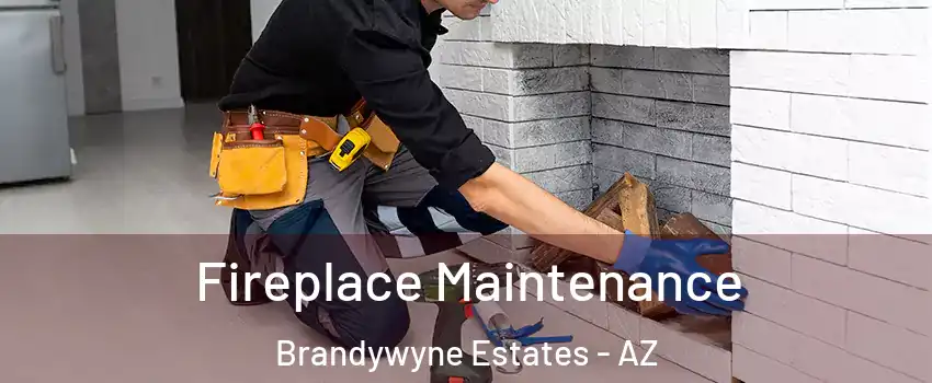 Fireplace Maintenance Brandywyne Estates - AZ