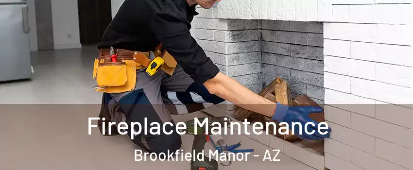 Fireplace Maintenance Brookfield Manor - AZ