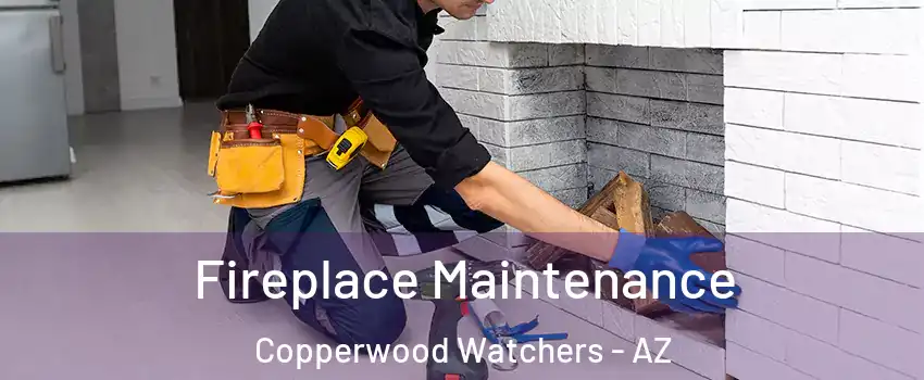 Fireplace Maintenance Copperwood Watchers - AZ