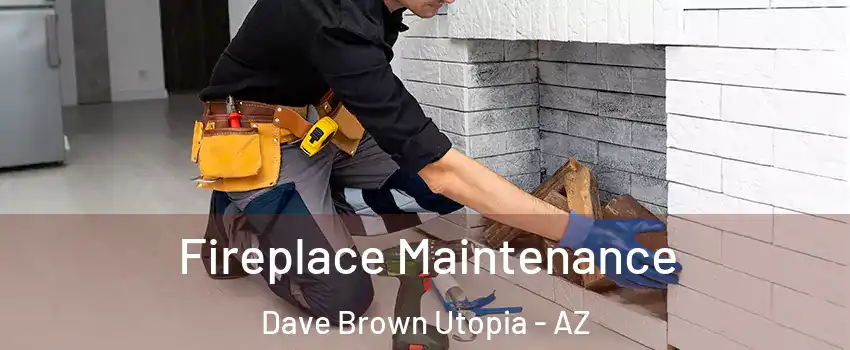 Fireplace Maintenance Dave Brown Utopia - AZ