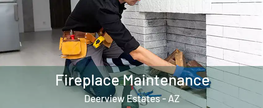Fireplace Maintenance Deerview Estates - AZ