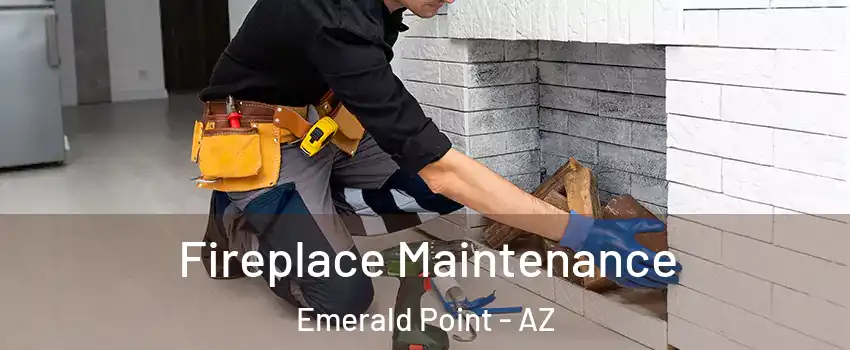 Fireplace Maintenance Emerald Point - AZ