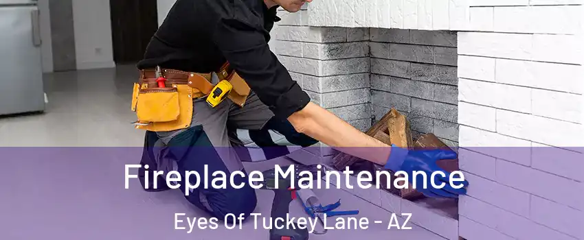 Fireplace Maintenance Eyes Of Tuckey Lane - AZ