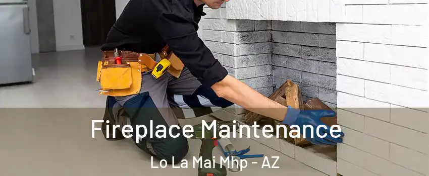 Fireplace Maintenance Lo La Mai Mhp - AZ