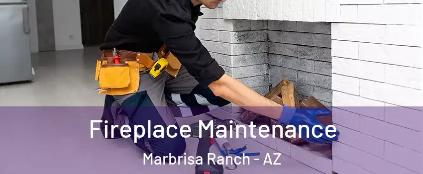 Fireplace Maintenance Marbrisa Ranch - AZ