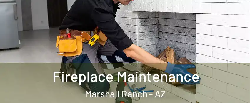 Fireplace Maintenance Marshall Ranch - AZ