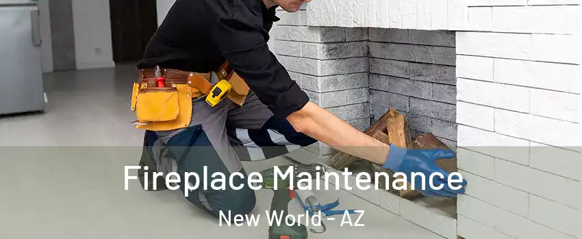 Fireplace Maintenance New World - AZ