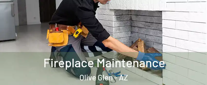 Fireplace Maintenance Olive Glen - AZ