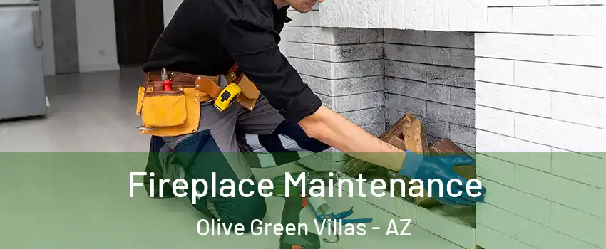 Fireplace Maintenance Olive Green Villas - AZ