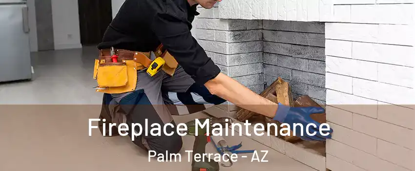 Fireplace Maintenance Palm Terrace - AZ