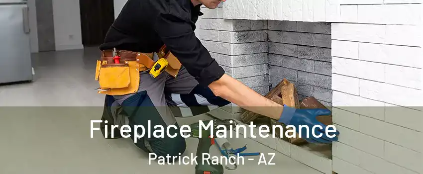 Fireplace Maintenance Patrick Ranch - AZ