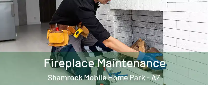 Fireplace Maintenance Shamrock Mobile Home Park - AZ
