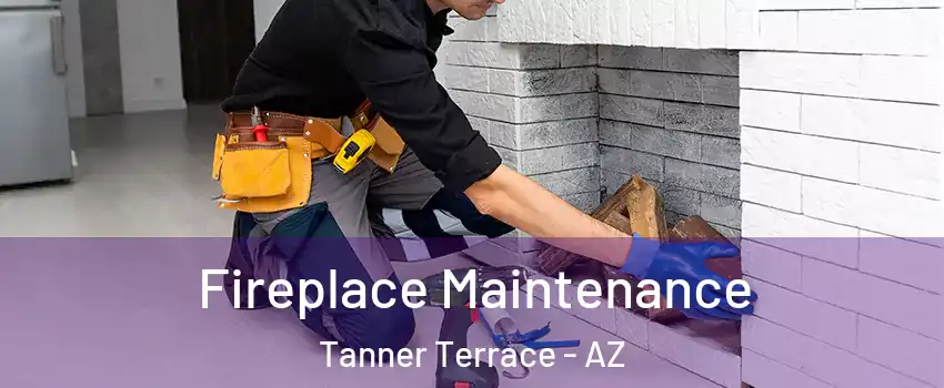 Fireplace Maintenance Tanner Terrace - AZ