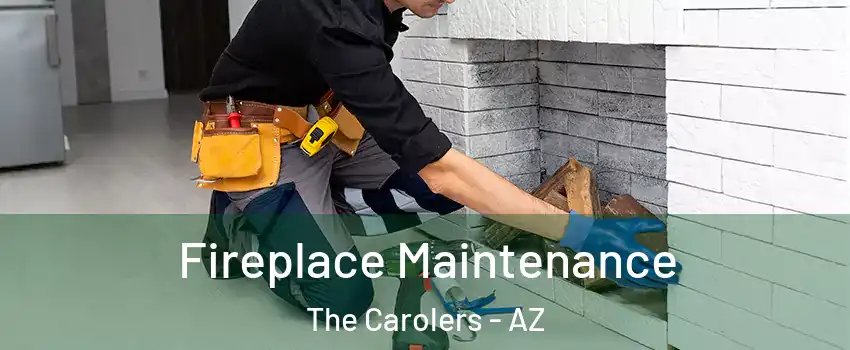 Fireplace Maintenance The Carolers - AZ