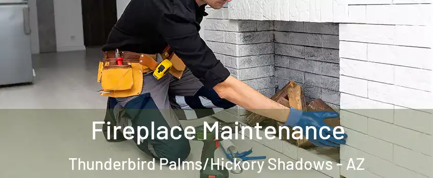 Fireplace Maintenance Thunderbird Palms/Hickory Shadows - AZ