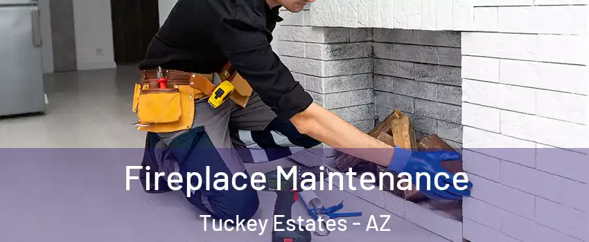 Fireplace Maintenance Tuckey Estates - AZ