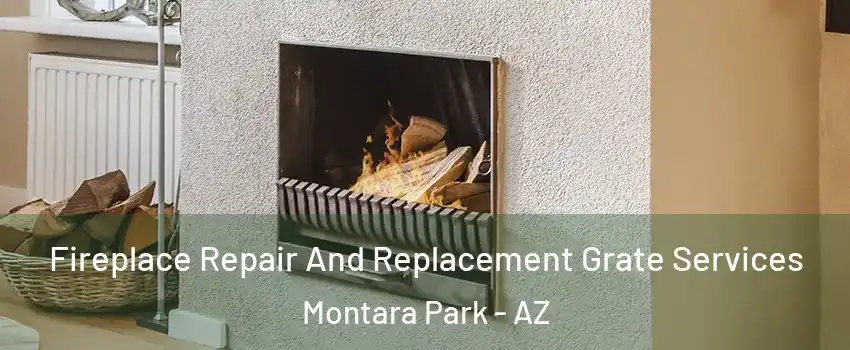 Fireplace Repair And Replacement Grate Services Montara Park - AZ