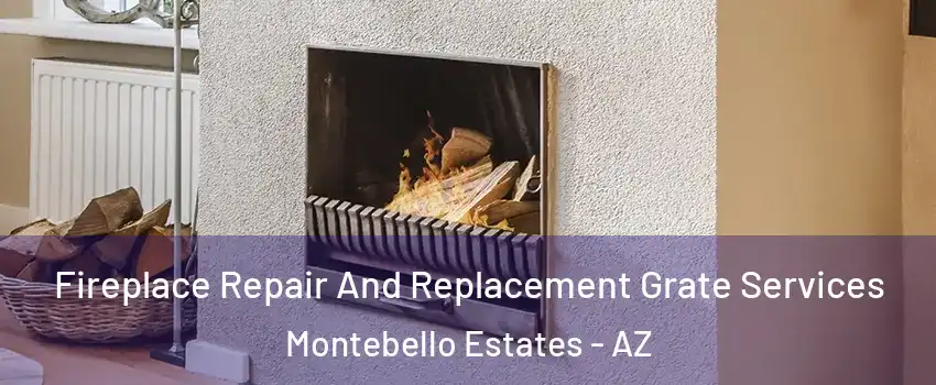 Fireplace Repair And Replacement Grate Services Montebello Estates - AZ