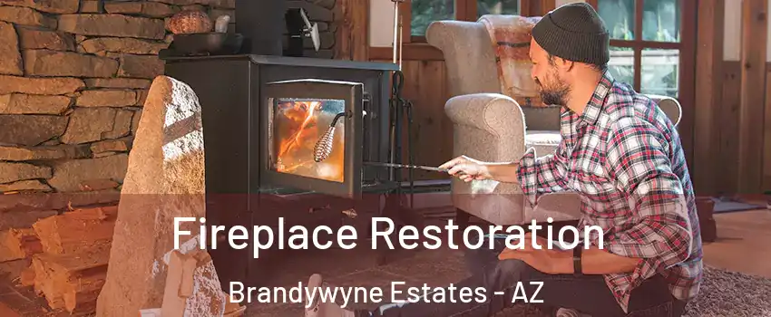 Fireplace Restoration Brandywyne Estates - AZ