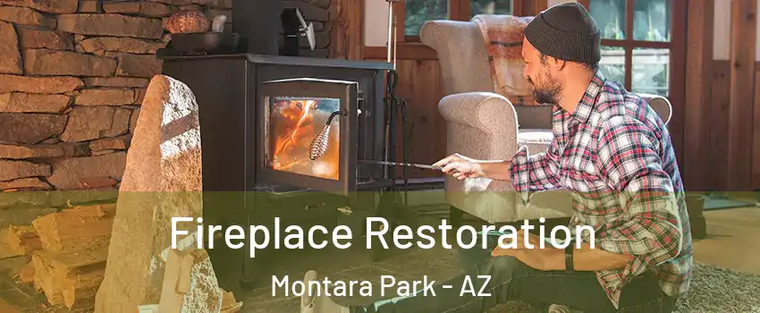 Fireplace Restoration Montara Park - AZ