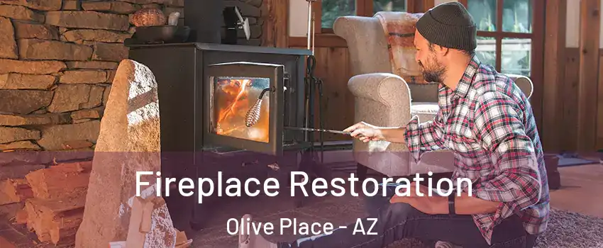 Fireplace Restoration Olive Place - AZ