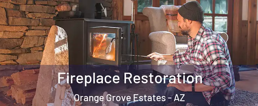 Fireplace Restoration Orange Grove Estates - AZ