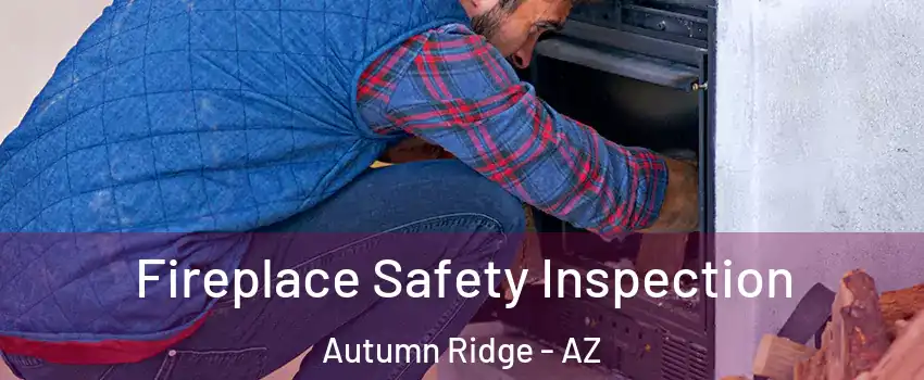 Fireplace Safety Inspection Autumn Ridge - AZ